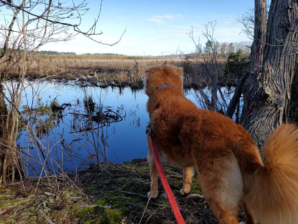 Bay Circuit Trail | 199 Crooker Pl, Hanson, MA 02341, USA