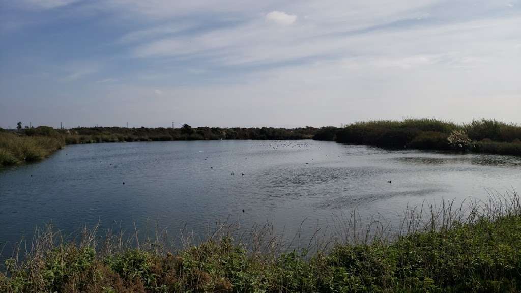 Ventura Harbor Ecological Reserve | 1400 Angler Ct, Ventura, CA 93001, USA