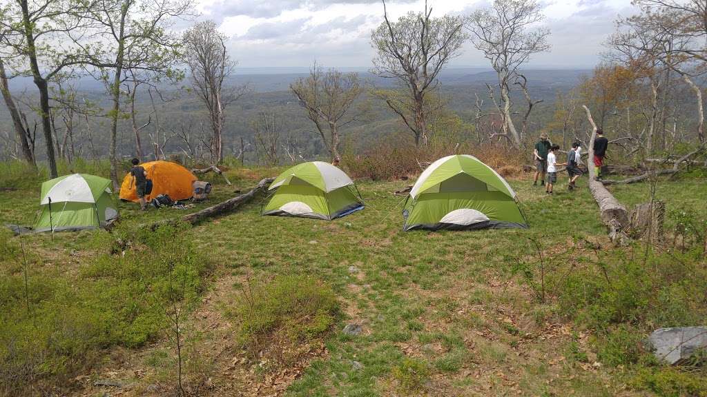 Worthington State Forest | Old Mine Rd, Columbia, NJ 07832, USA | Phone: (908) 841-9575