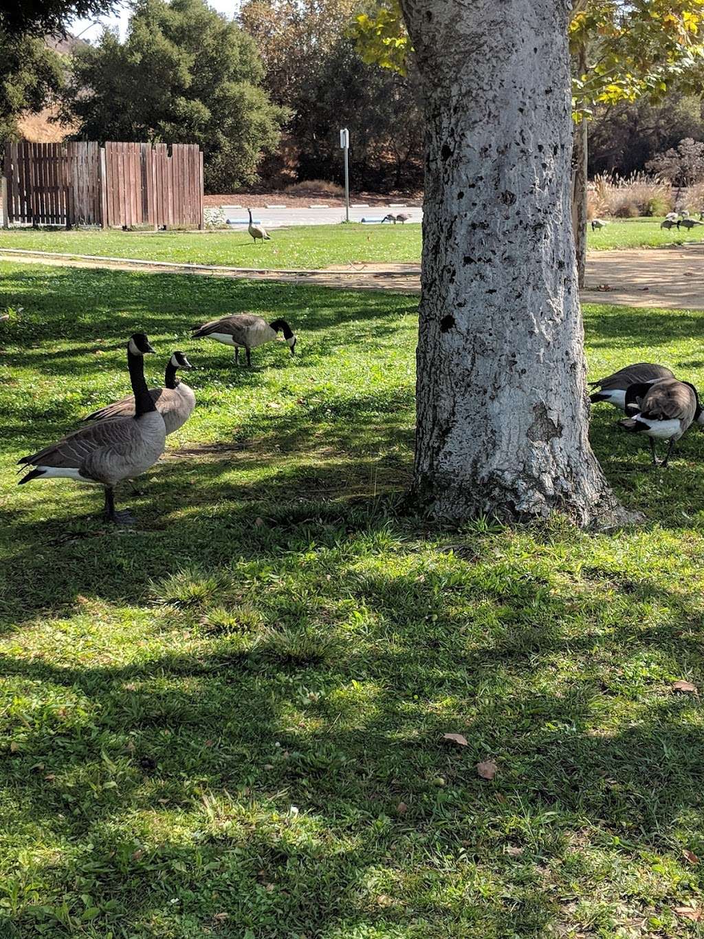 Hellyer Park | San Jose, CA 95111