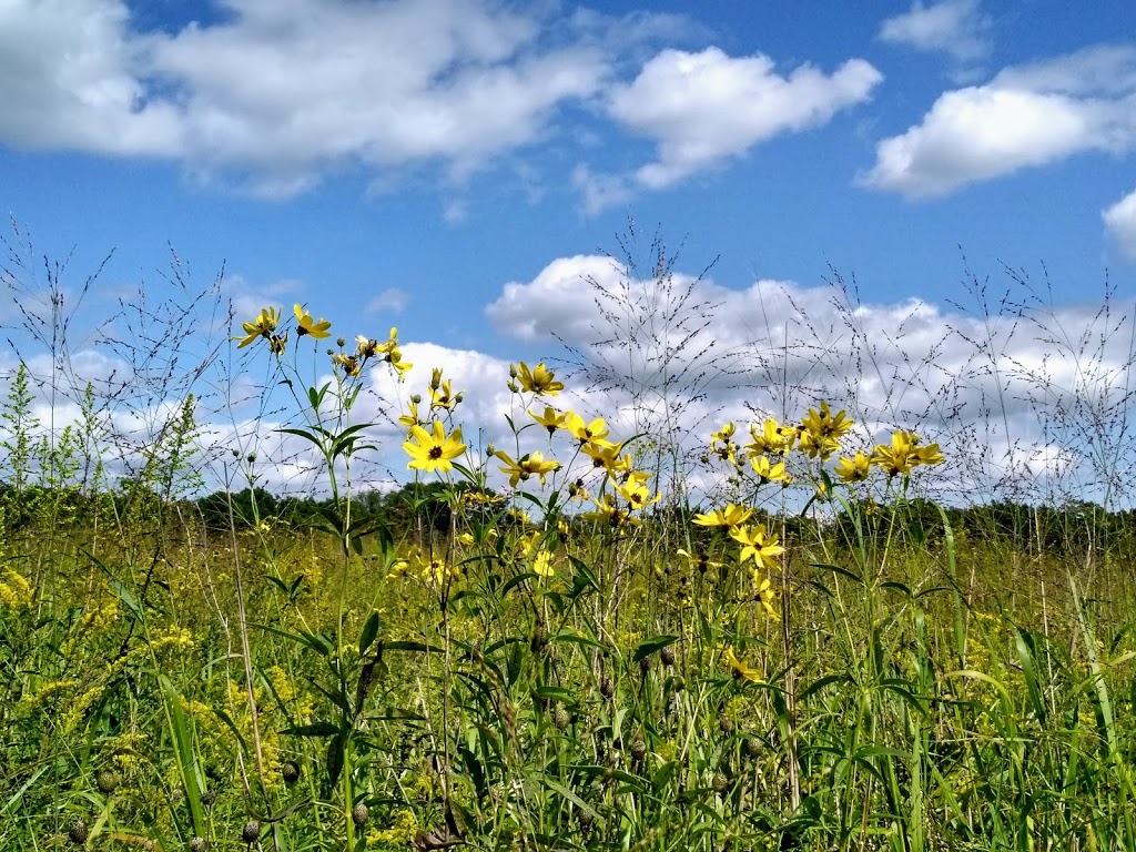 Cross Plains Interpretive Site | 8075 Old Sauk Pass Rd, Cross Plains, WI 53528, USA | Phone: (608) 441-5610