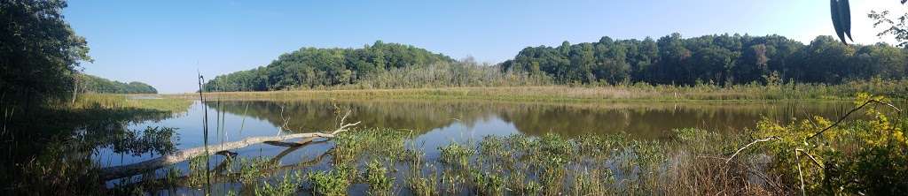 American Chestnut Land Trust | 676 Double Oak Rd, Prince Frederick, MD 20678, USA | Phone: (410) 414-3400