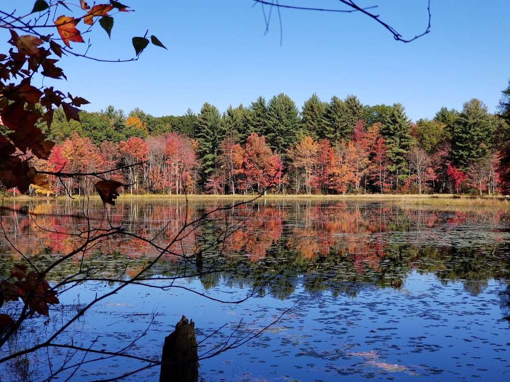 Fosters Pond Natural Area | 105 Londonderry Rd, Windham, NH 03087, USA | Phone: (603) 432-3806