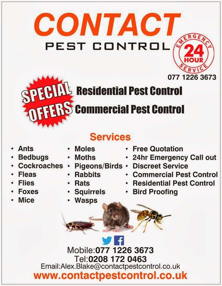Contact Pest Control | New Rd, Abridge, Romford RM4 1NP, UK | Phone: 07712 263673