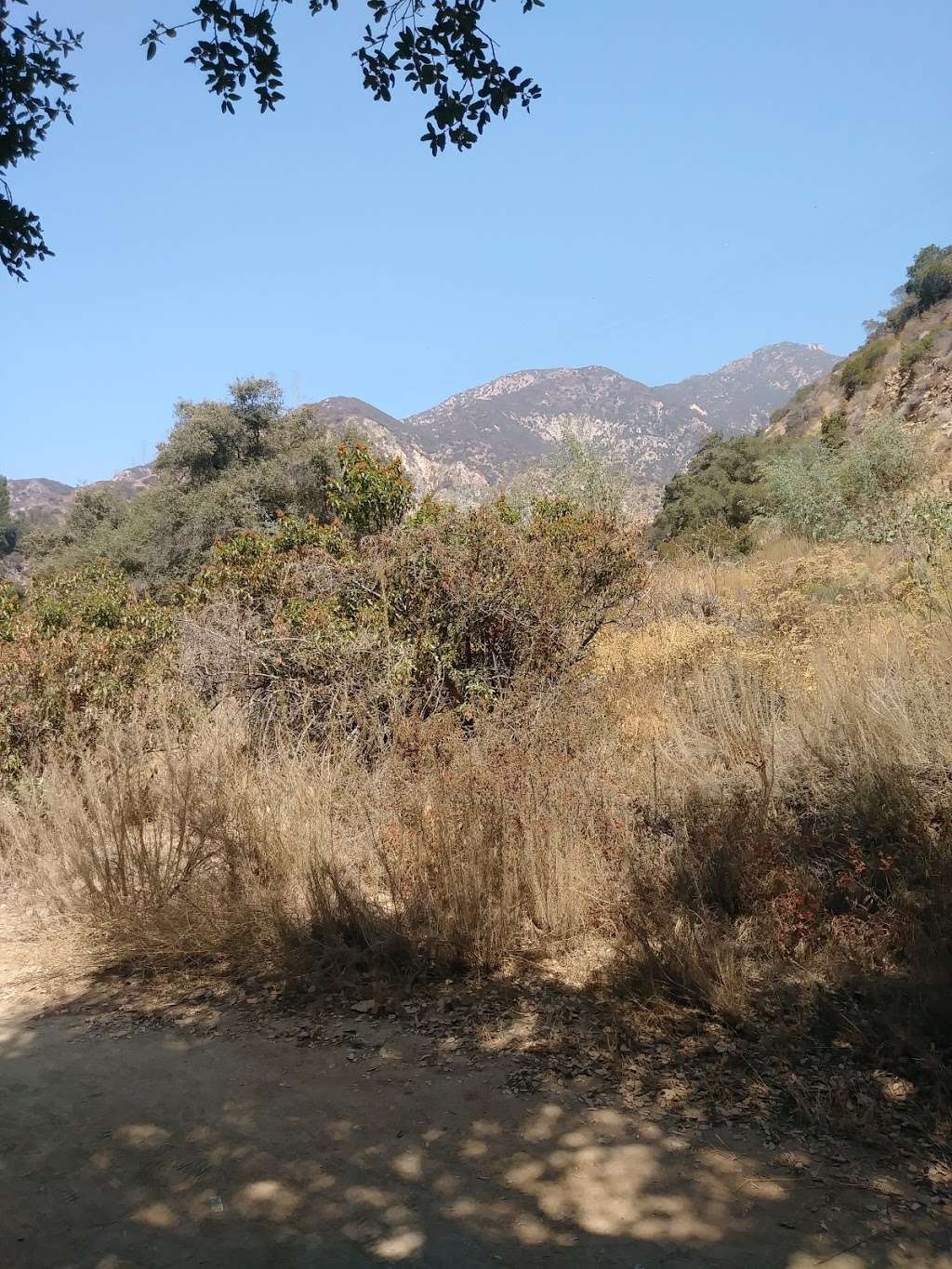 Walnut Canyon Trailhead | Unnamed Road, Pasadena, CA 91107, USA