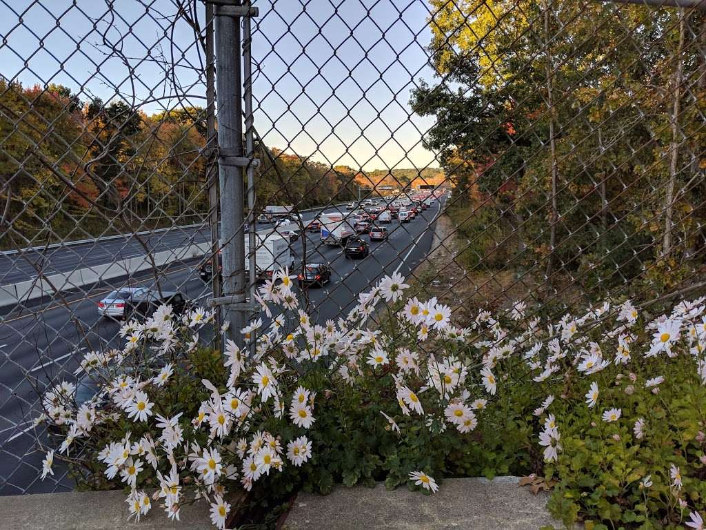 Bike Trail Bridge | Lexington, MA 02420, USA