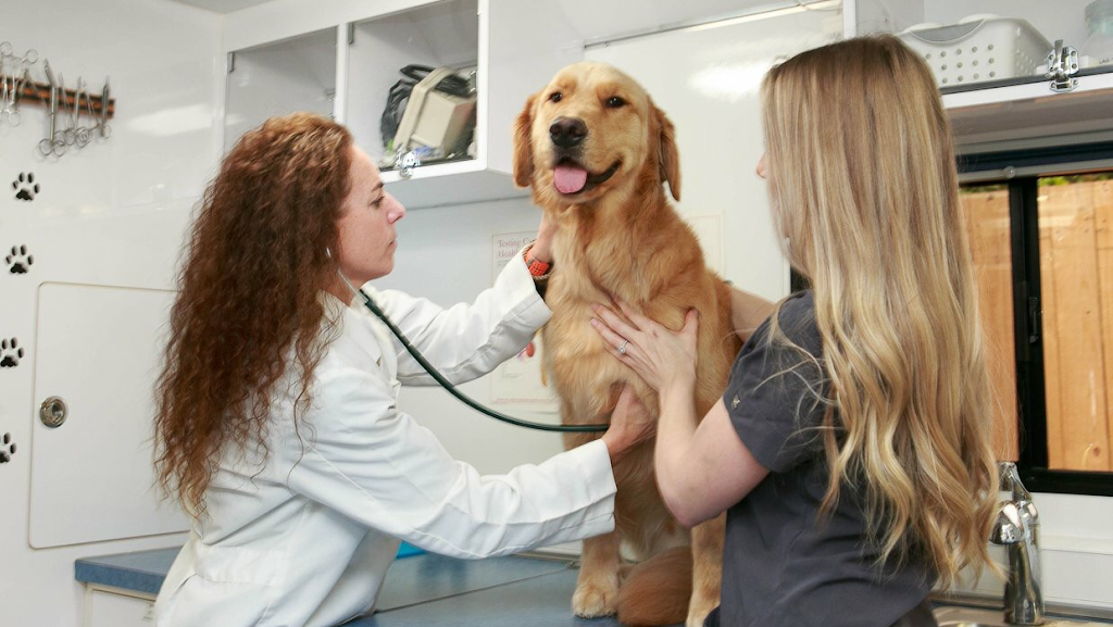 Traveling Tails Veterinary Clinic | 5010 N Loop 1604 W, San Antonio, TX 78249, USA | Phone: (210) 495-8245