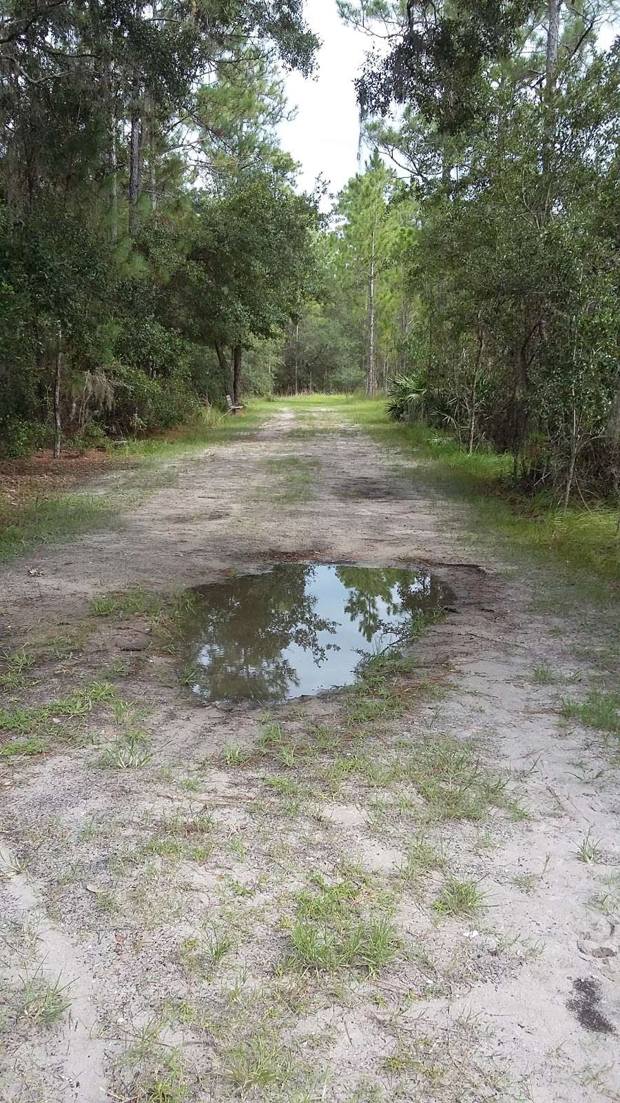 Lake Lizzie Conservation Area | 6800-6808 Midland Dr, St Cloud, FL 34771, USA | Phone: (407) 742-0200