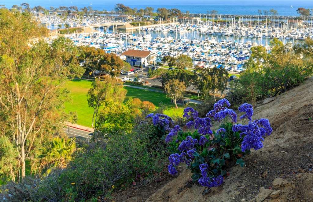 Dana Point Bluff Top Trail | 34342 Street of the Amber Lantern, Dana Point, CA 92629, USA