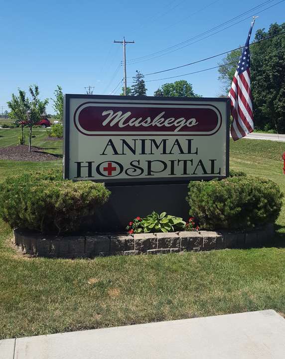 Muskego Animal Hospital | S80 W19055 Janesville Rd, Muskego, WI 53150, USA | Phone: (262) 679-1200