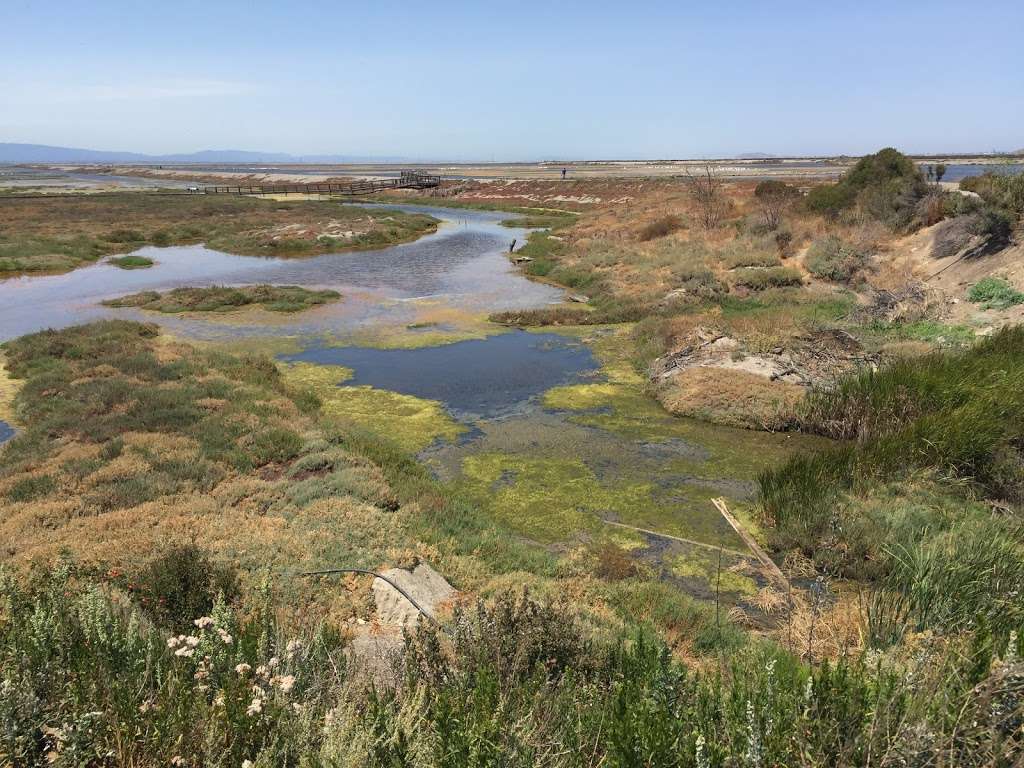 Don Edwards San Francisco Bay National Wildlife Refuge Environme | 1751 Grand Blvd, San Jose, CA 95002, USA | Phone: (408) 262-5513