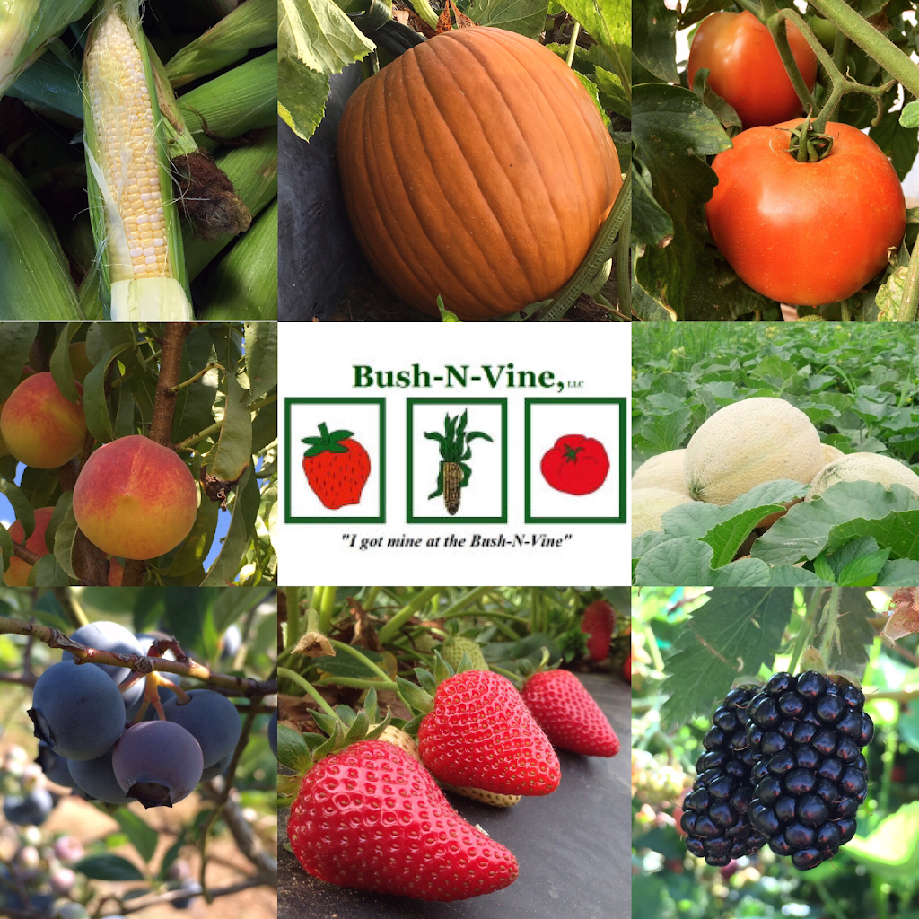 Bush & Vine Farm Stand - Lake Wylie | 4090 Charlotte Hwy, Lake Wylie, SC 29710, USA | Phone: (803) 684-2732