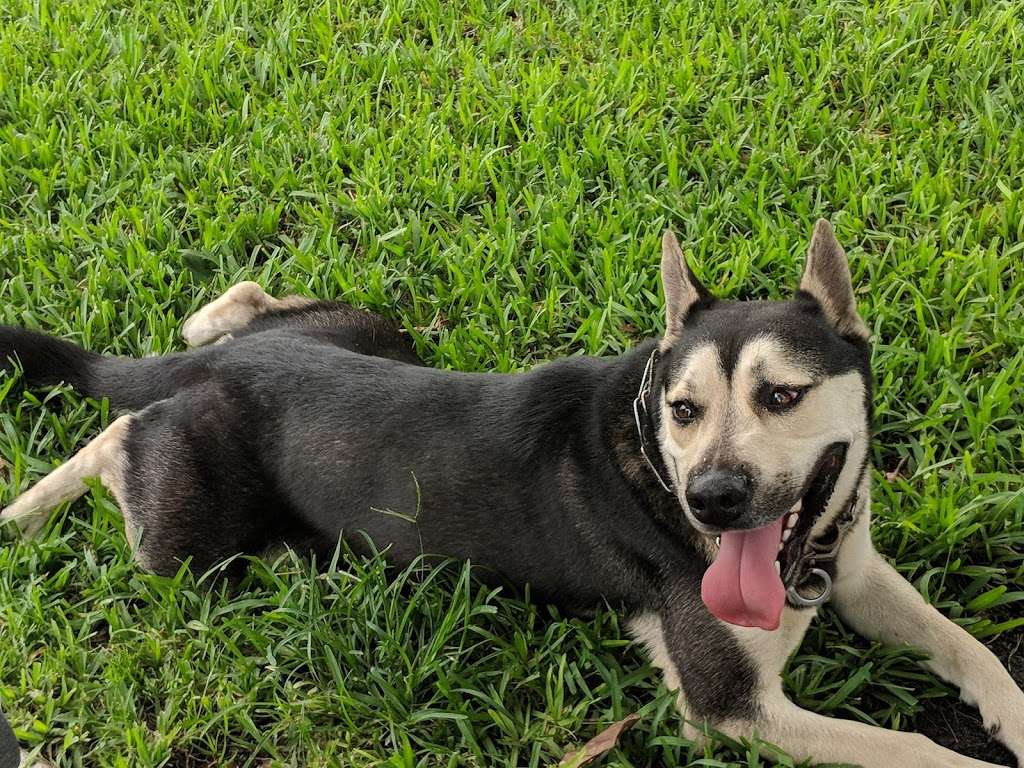 Lake Woof Dog Park | 1996 Center Dr, Lake Worth, FL 33461, USA