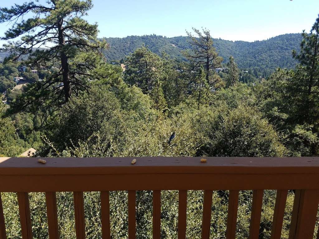 Blue Jay Getaway | 24326 Wabern Dr, Crestline, CA 92325, USA | Phone: (951) 203-2120