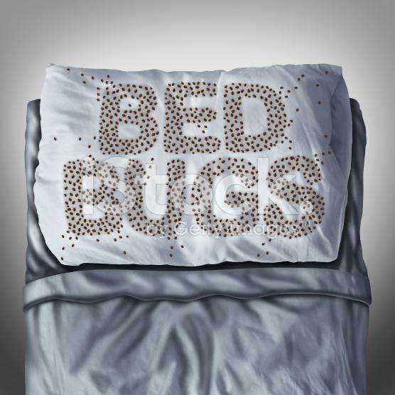 Windy City Bed Bug Specialists | 7548 W Forest Preserve Ave, Chicago, IL 60634, USA | Phone: (312) 702-1896