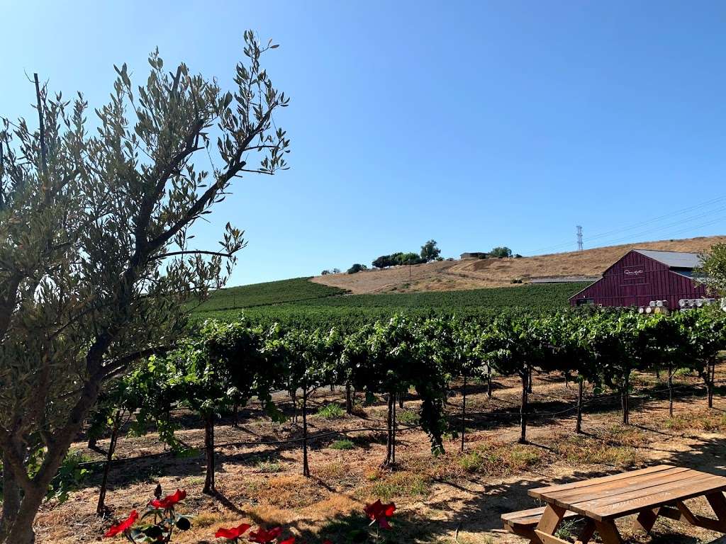 Darcie Kent Vineyards | 7000 Tesla Rd, Livermore, CA 94550, USA | Phone: (925) 243-9040