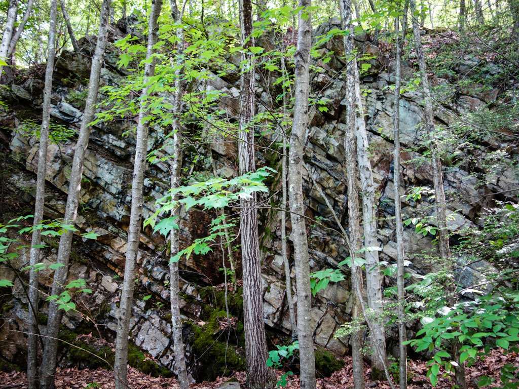 Shawangunk Ridge Trail - Otisville to Guymard Tpk | Unnamed Road, Otisville, NY 10963, USA