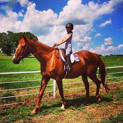 Cadence Equestrian Center, LLC | 14150 S Pine Street Oklahoma City, Edmond, OK 73034, USA | Phone: (405) 348-7469