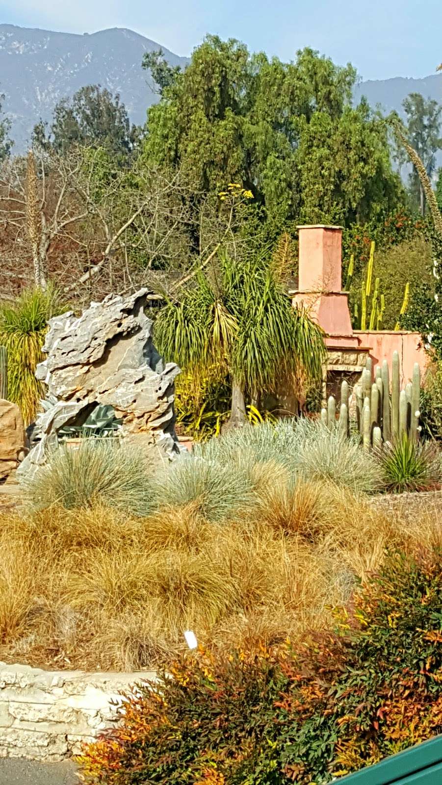 Los Angeles County Arboretum | 301N Baldwin Ave, Arcadia, CA 91007, USA | Phone: (626) 821-3222