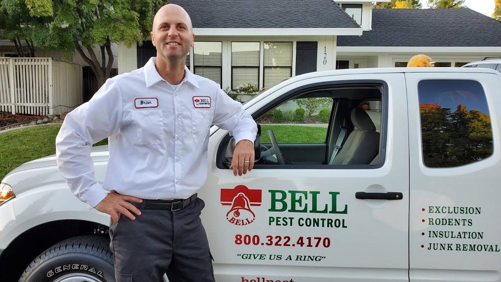 Bell Pest Control | 9136 Elkmont Way # C, Elk Grove, CA 95624, USA | Phone: (916) 512-6035