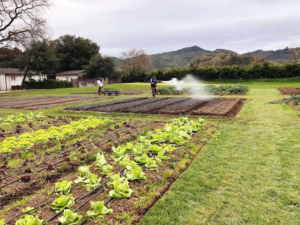 The French Laundry Garden | 6639 Washington St #6601, Yountville, CA 94599 | Phone: (707) 363-9552