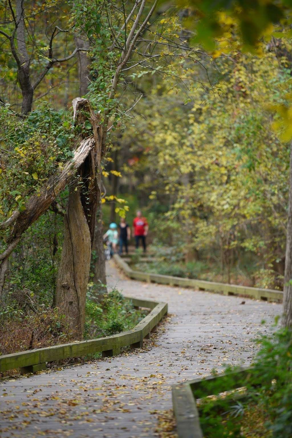 Four Mile Creek Greenway | 5803 Bevington Pl, Charlotte, NC 28277, USA | Phone: (704) 336-3854