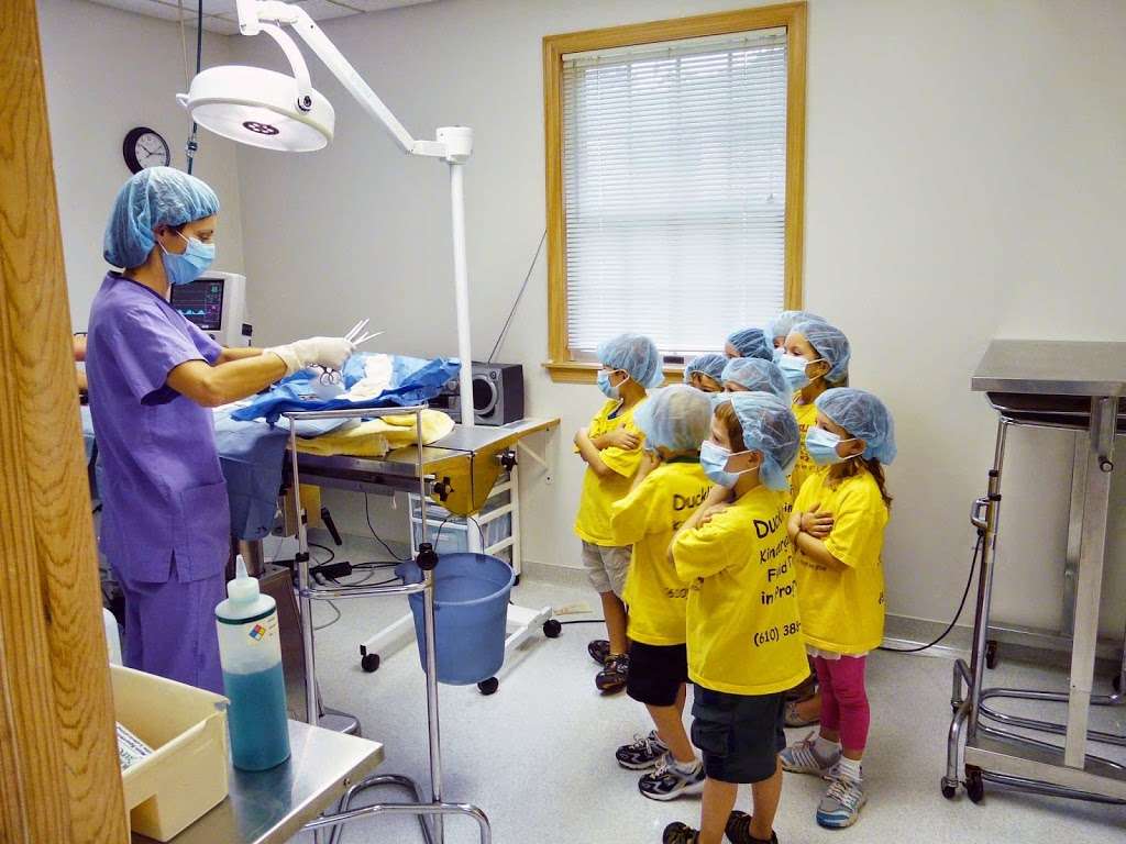 Longwood Veterinary Center | 230 Kennett Pike, Kennett Square, PA 19348, USA | Phone: (610) 388-3388