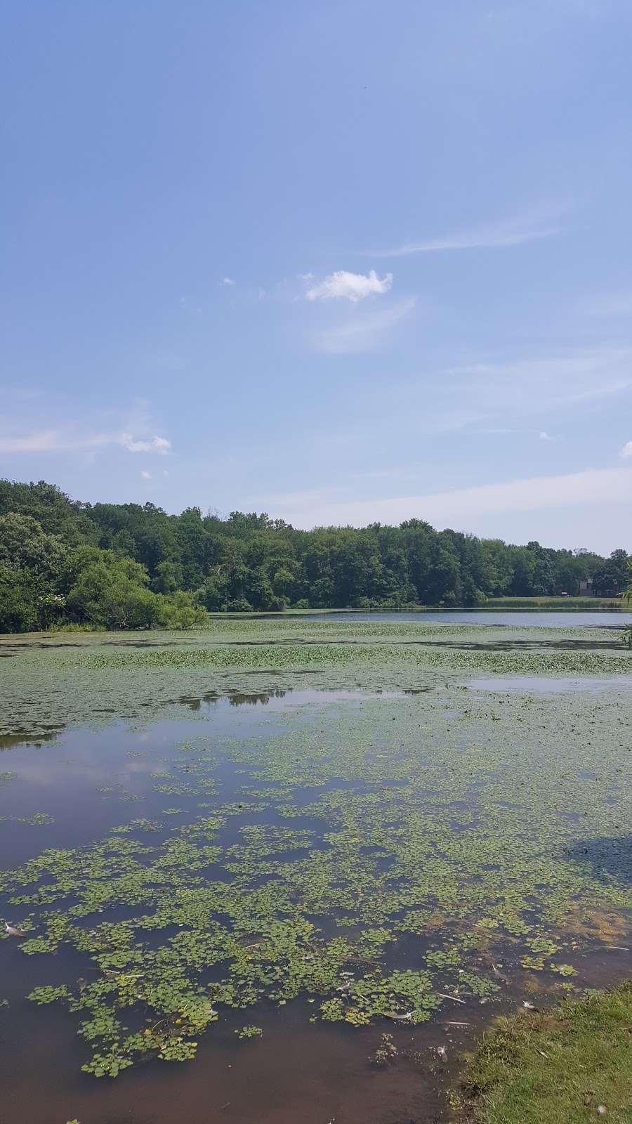 Amwell Lake Wildlife Management Area | 82 Linvale Rd, Ringoes, NJ 08551, USA | Phone: (609) 984-0547