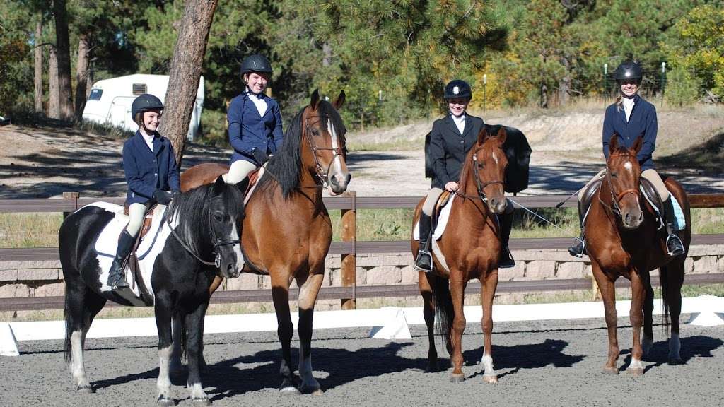 EquesTraining | 11063 Sheffield Ct, Parker, CO 80134, USA | Phone: (720) 785-0980