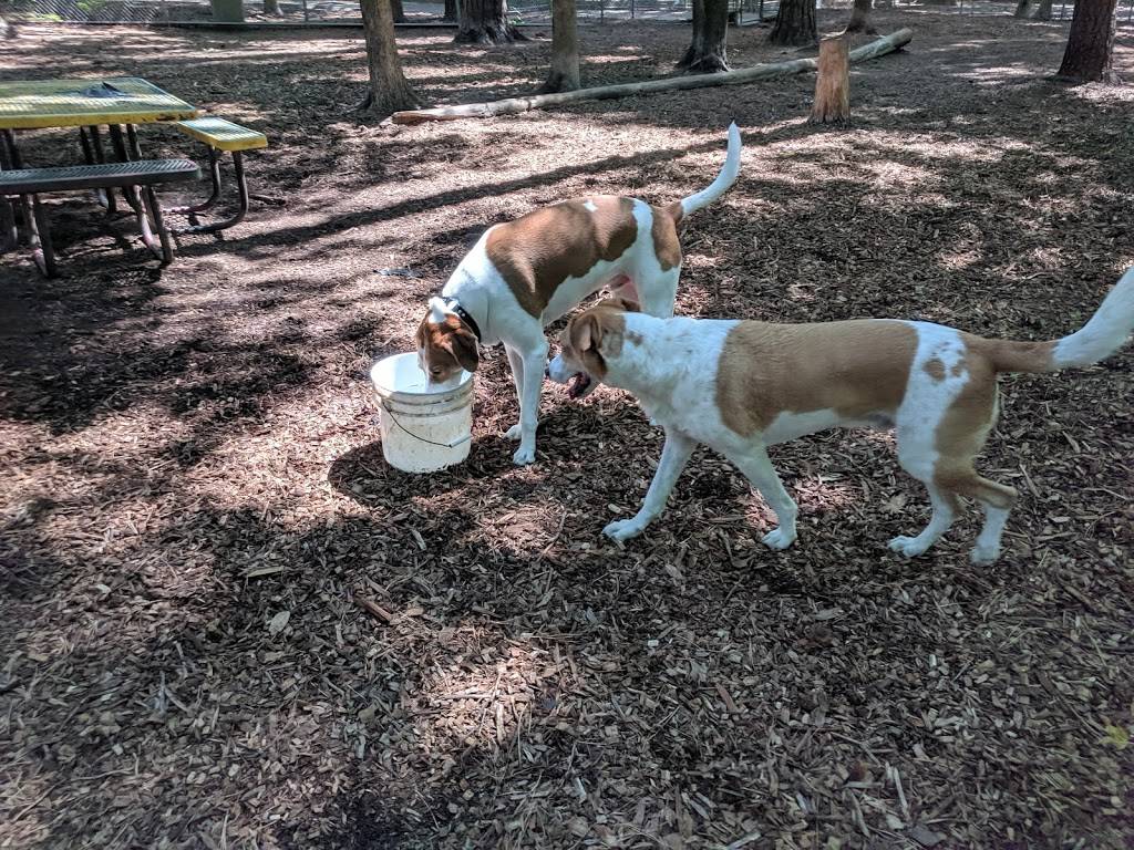 Carolina Pines Dog Park | 2305 Lake Wheeler Rd, Raleigh, NC 27603, USA | Phone: (919) 831-6435