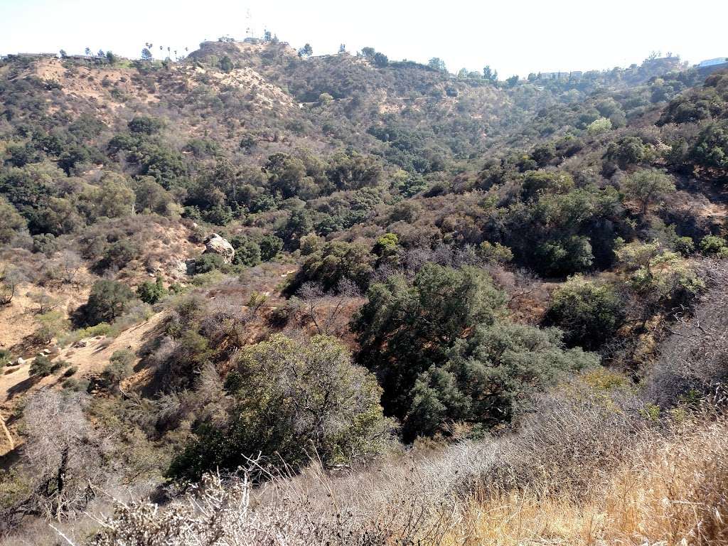 Gene Autry Ridge | Studio City, CA 91604, USA