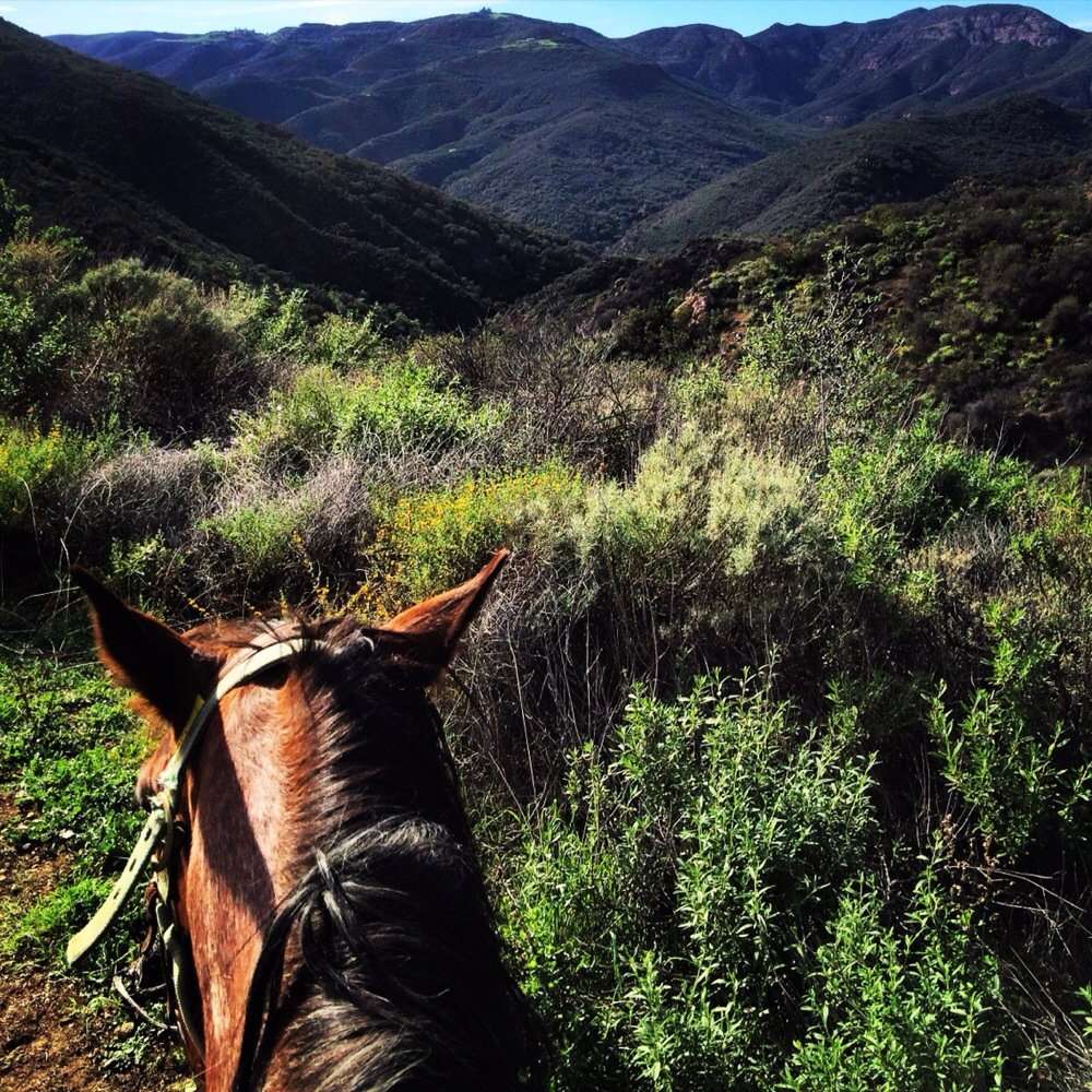 Connemara Ranch | 5957 Cavalleri Rd, Malibu, CA 90265, USA | Phone: (619) 494-2348