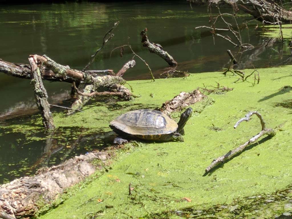 Griggstown Canoe And Kayak Rental | 1076 Canal Rd, Princeton, NJ 08540 | Phone: (908) 359-5970