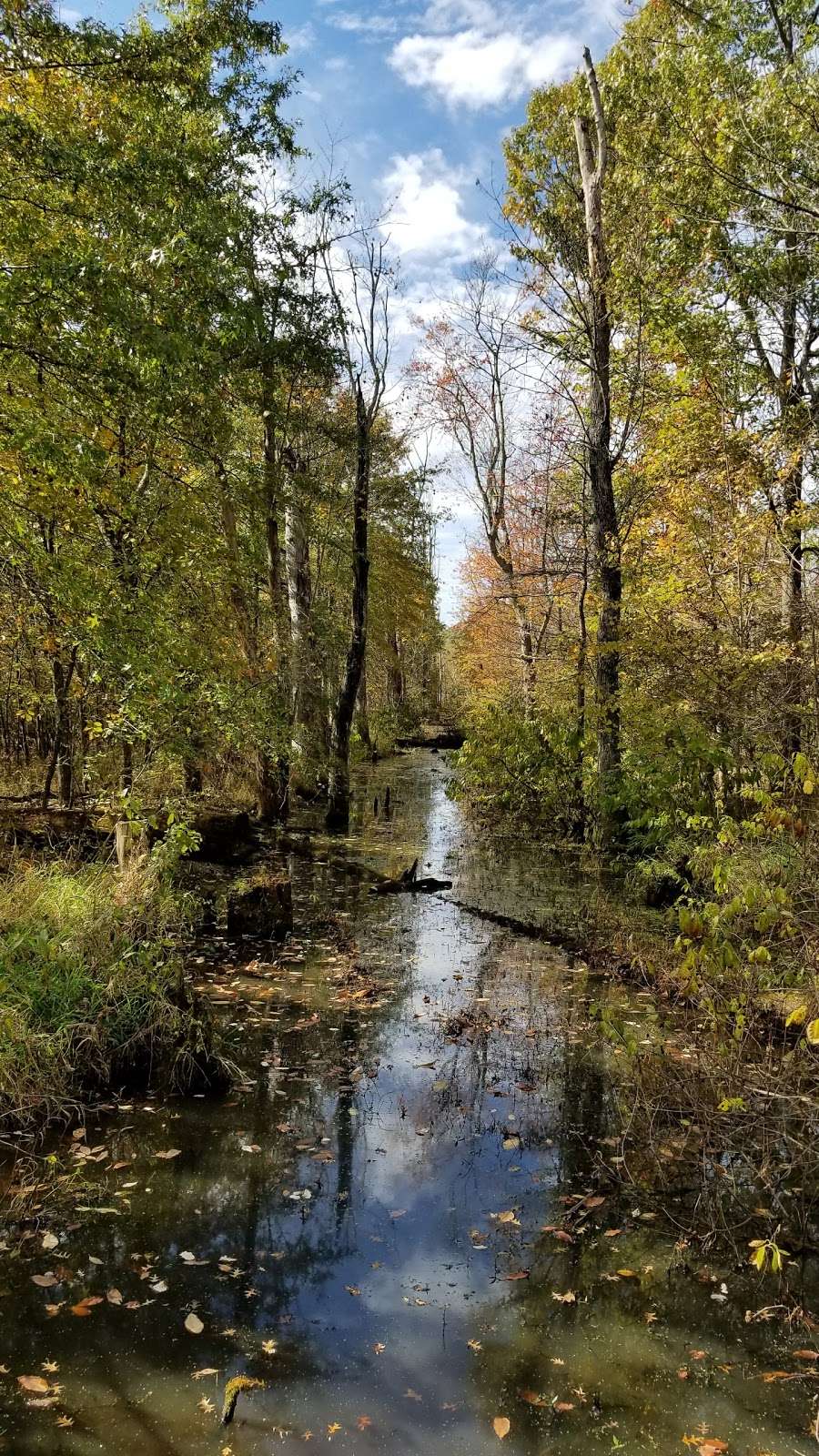 Beanblossom Bottoms Nature Preserve - Sycamore Land Trust | N Woodall Rd, Ellettsville, IN 47429, USA | Phone: (812) 336-5382