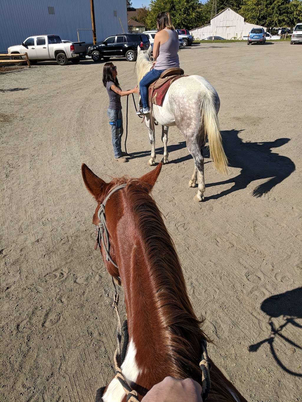 Wine Country Trails by Horseback | 34225 Rancho California Rd, Temecula, CA 92591, USA | Phone: (951) 852-7633