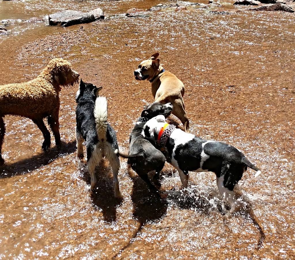 Bear Creek Dog Park | S 21st St, Colorado Springs, CO 80904, USA | Phone: (719) 520-7529