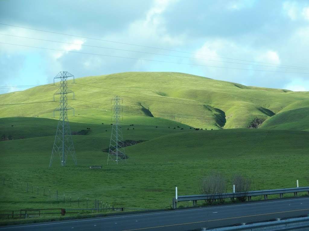 San Pablo Bay National Wildlife Refuge Headquarters | 2100 Sears Point Rd, Sonoma, CA 95476, USA | Phone: (707) 769-4200