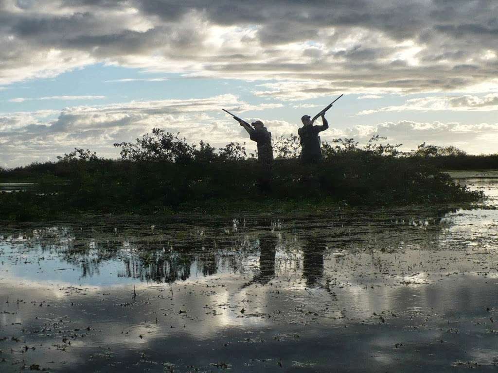 Bullgator Adventures Airboat Rides &Tours | 6000 Lake Washington Rd, Melbourne, FL 32934 | Phone: (321) 288-3997