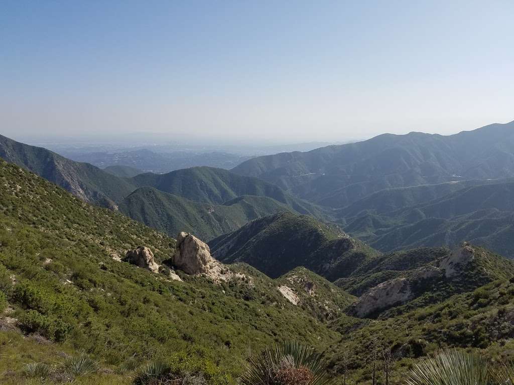 Cedar Overlook | Tujunga, CA 91042, USA