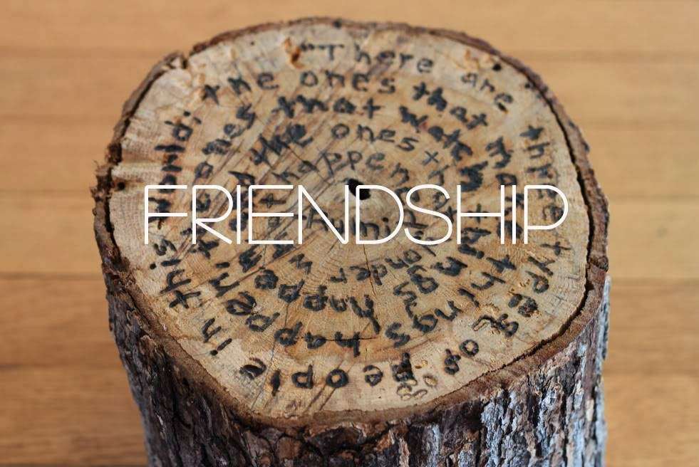 Belle Meade Montessori School | 353 F.T. Valley Road, Sperryville, VA 22740, USA | Phone: (540) 987-8970