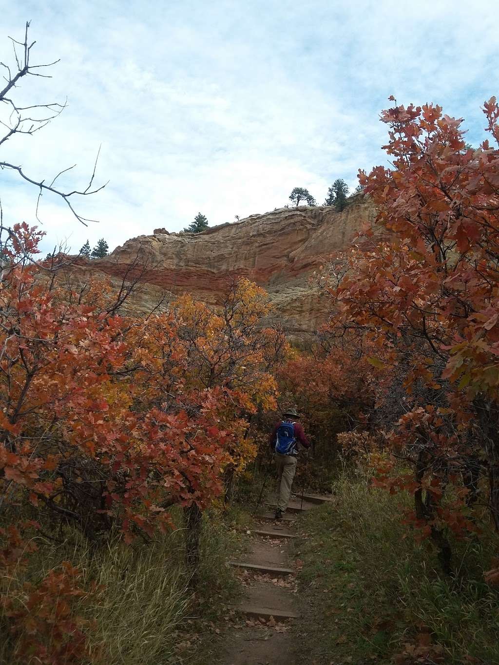 Lyons Trail | 6483 Big Horn Trail, Littleton, CO 80125, USA