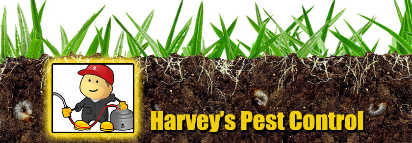 Harveys Pest Control | Pest Exterminating Service Company | Pes | 4239 Edgehill Dr, Los Angeles, CA 90008, USA | Phone: (855) 296-8112