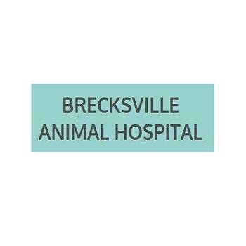 Brecksville Animal Hospital | 13019 Chippewa Rd, Brecksville, OH 44141, USA | Phone: (440) 526-8350