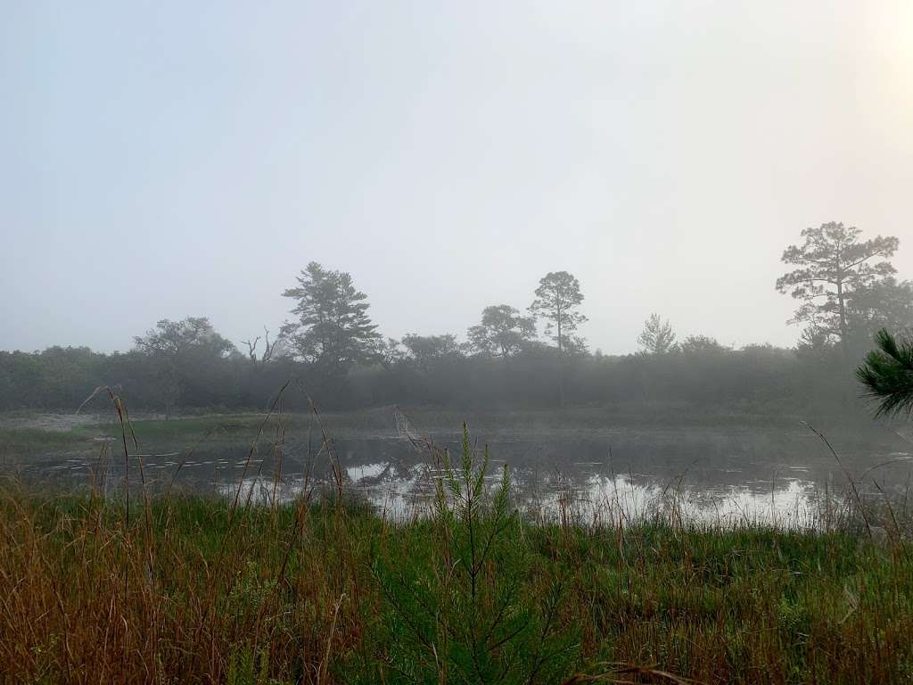 Hidden Pond | Juniper Springs Recreation Area, Florida 40, Silver Springs, FL, Astor, FL 32102, USA