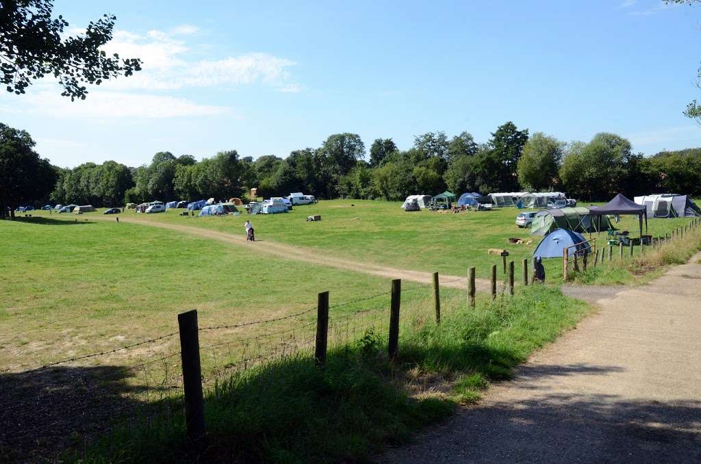 Bedgebury Camping | Bedgebury Rd, Goudhurst, Cranbrook TN17 2QU, UK | Phone: 01580 213487