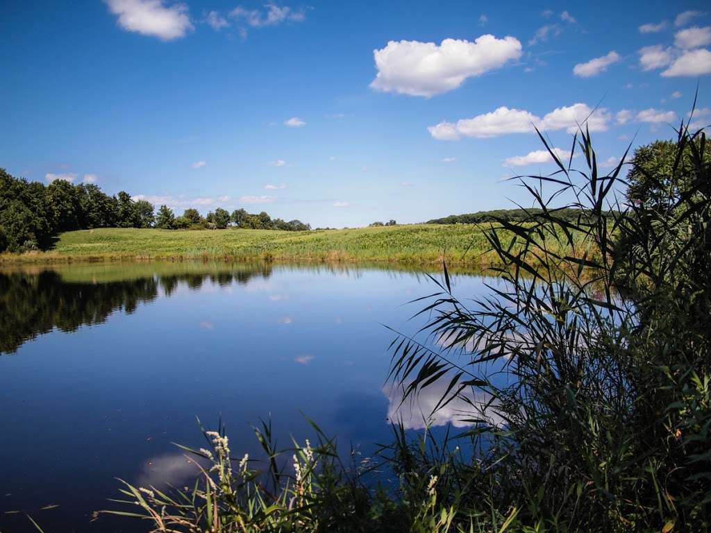 Appalachian Trail | State Line Rd, Westtown, NY 10998