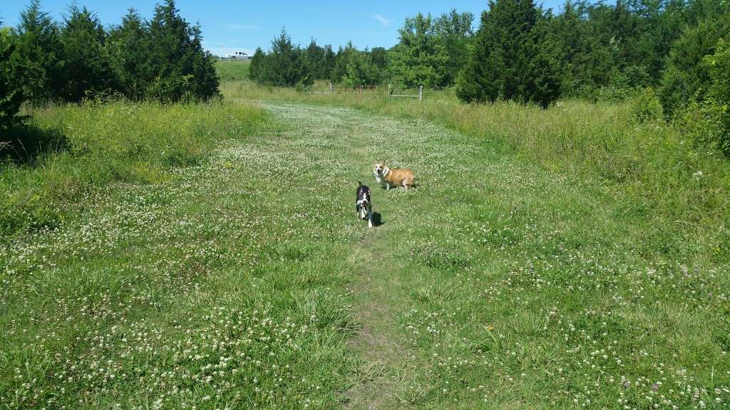 Kill Creek Streamway Dog Park | 33460 W 95th St, De Soto, KS 66018, USA