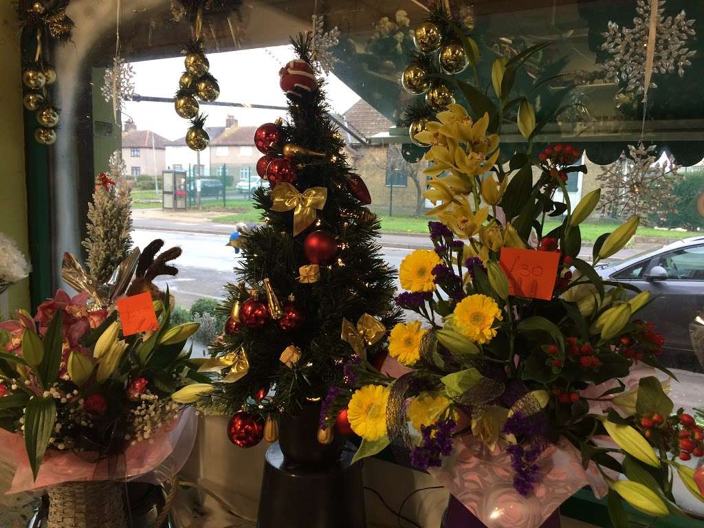 Fishers Florist | 93 & 99 Riverview, Chadwell St Mary, Grays RM16 4BD, UK | Phone: 01375 850888