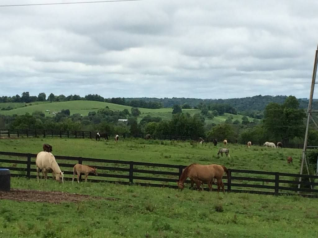 Asbury University Equine Center | 744 Shanty Hill Rd, Wilmore, KY 40390, USA | Phone: (859) 858-0485