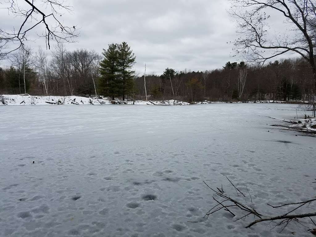 Pod Meadow | Wayland, MA 01778, USA